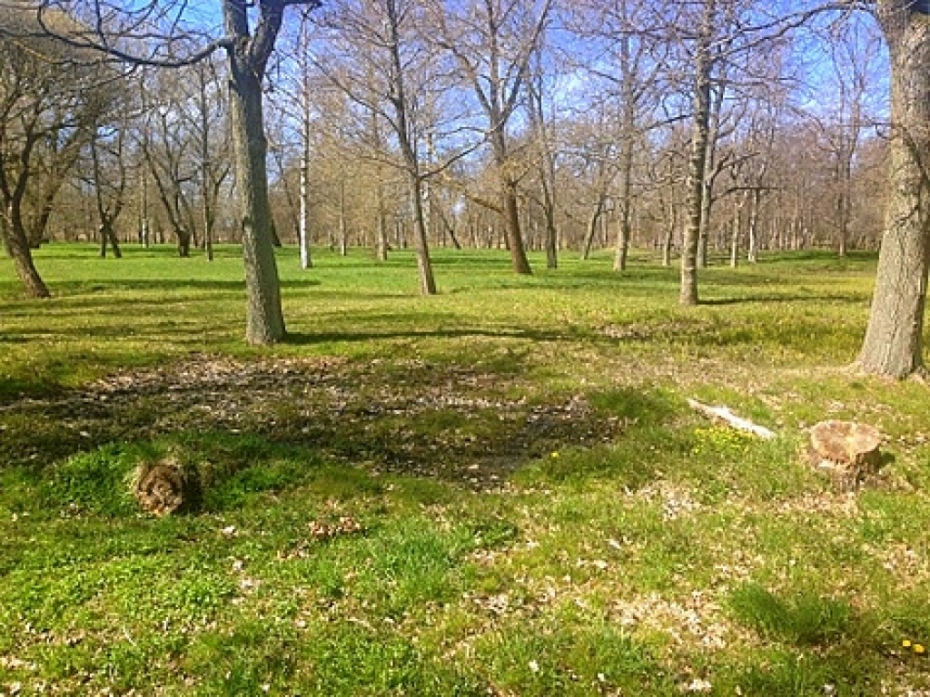 No Piejūras slimnīcas atdalītajai teritorijai uzradies nomnieks