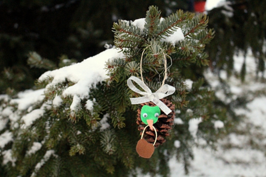 Aicina uz egles iedegšanu pie kafejnīcas "Rietumkrasts"