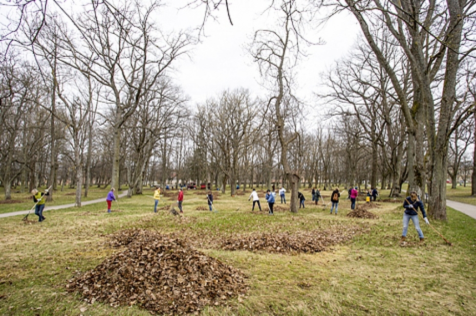 Aicina pieteikt talkas vietas; zaļos atkritumus nodos bez maksas