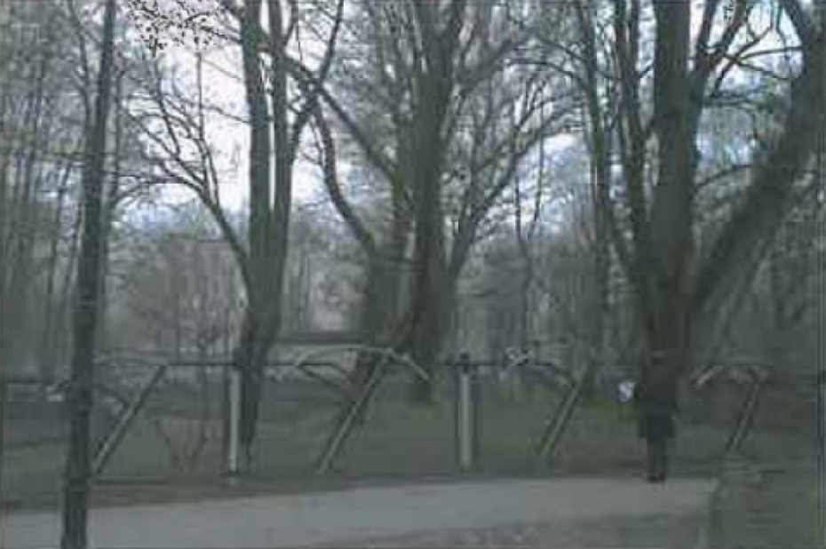 Gaida viedokli par koku ciršanu "Pūt, vējiņi!" pārbūves teritorijā