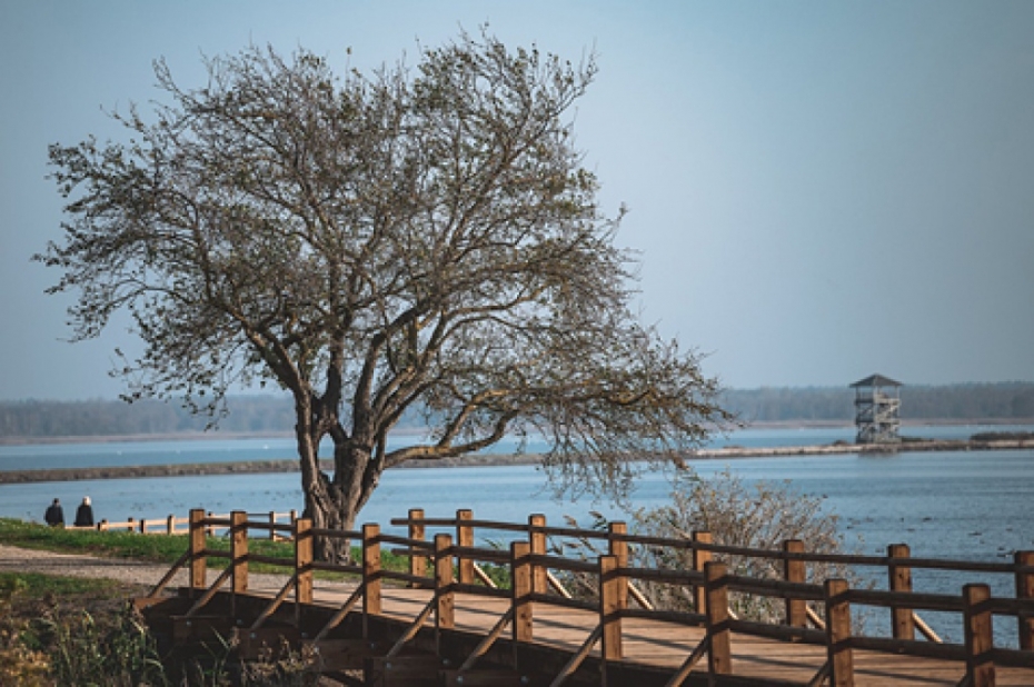 Liepājas ezera Zirgu salā izbūvēta dabas taka