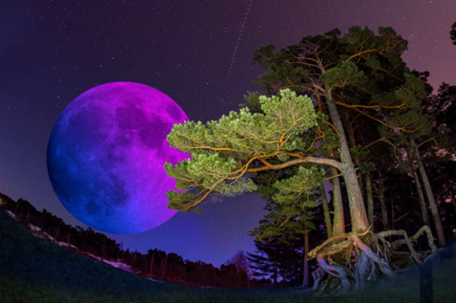 Audiovizuāls priekšnesums un mākslas galerija Beberliņos