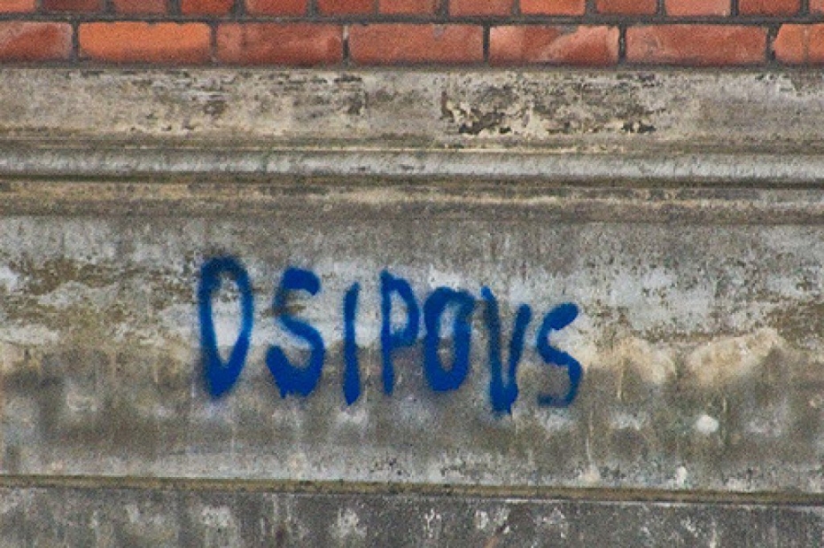 "Par Dzimto Valodu!" Liepājas domē cer iegūt divas vietas