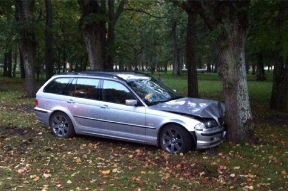 Jaunietis uzbrauc draudzenei, ietriecas kokā un izlec pa logu