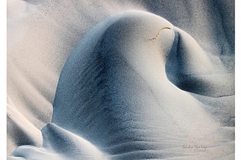 Biedrības namā skatāma Sandras Ūpes foto izstāde