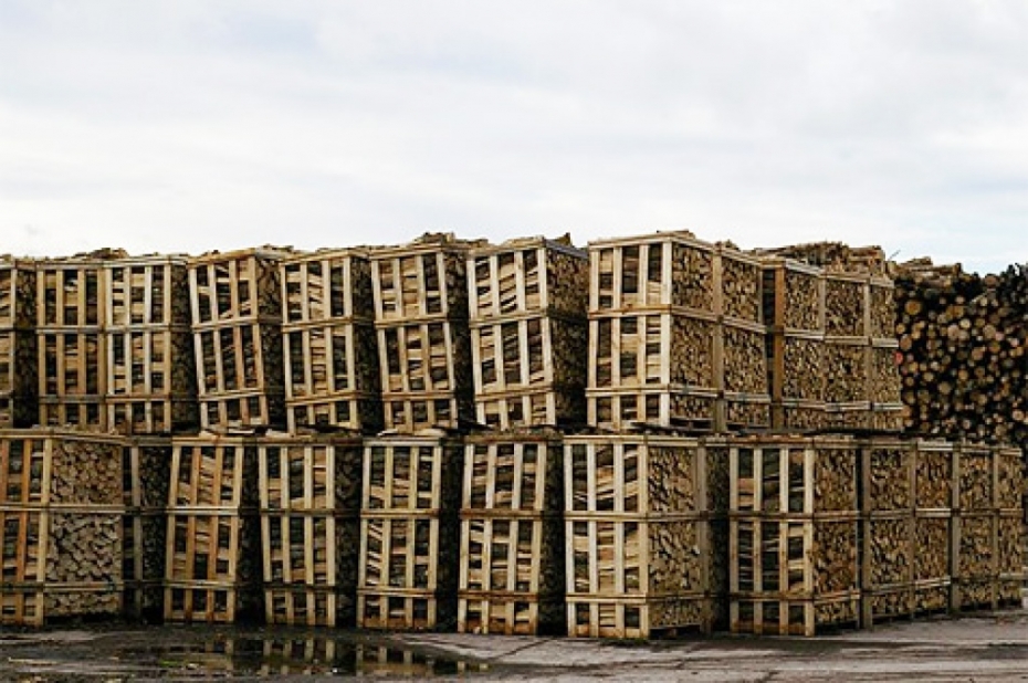 "Laskana" pērn piedzīvojusi krasu peļņas un apgrozījuma kritumu