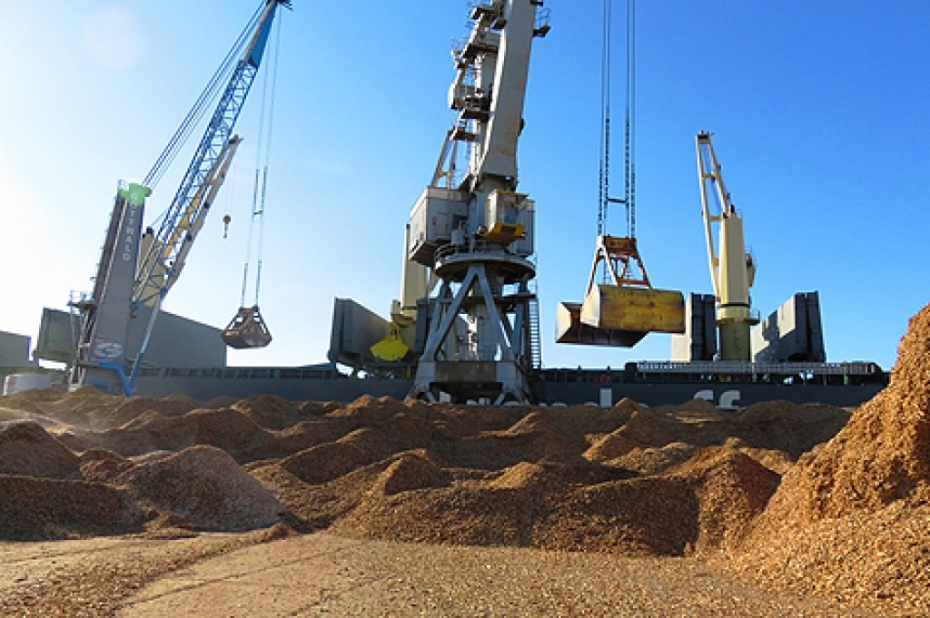 Graudaugi nodrošina šogad lielāko kravu apgrozījumu ostā