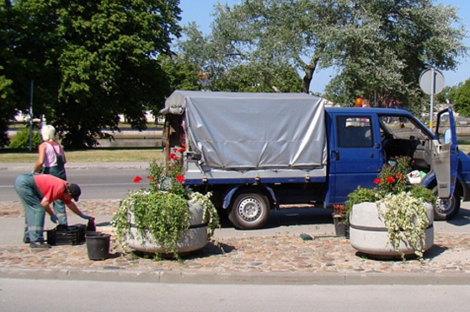 Uz 50 subsidētām darba vietām pretendē 183 pusaudži