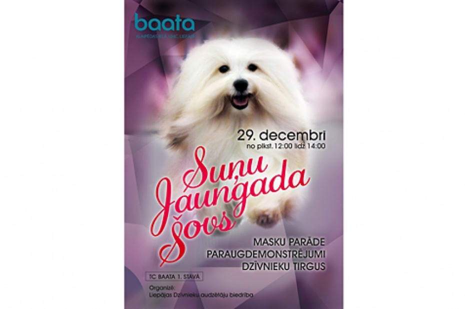 Svētdien notiks vērienīgs suņu Jaungada šovs