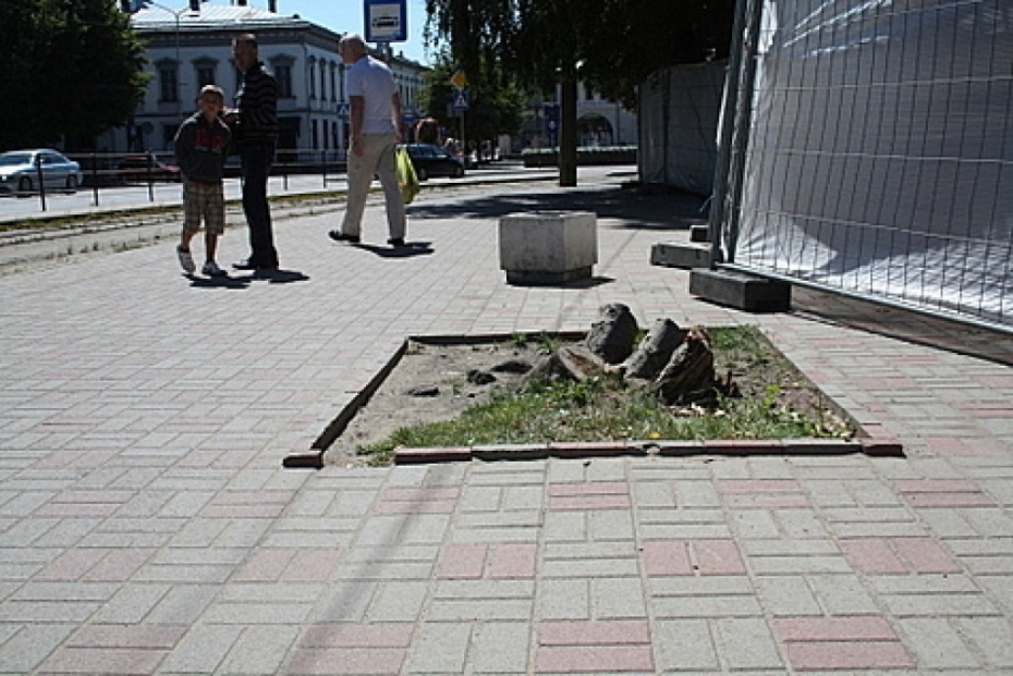 Gunārs Silakaktiņš: Un atkal uzvarēja zāģis...