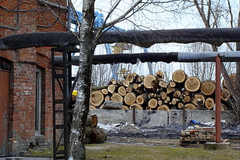 Vai amatpersonas apmaldījušās trīs vītolos?