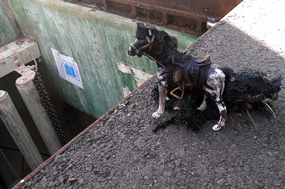 Atrasts zirgs jeb jāpadomā, ko metam kanalizācijā
