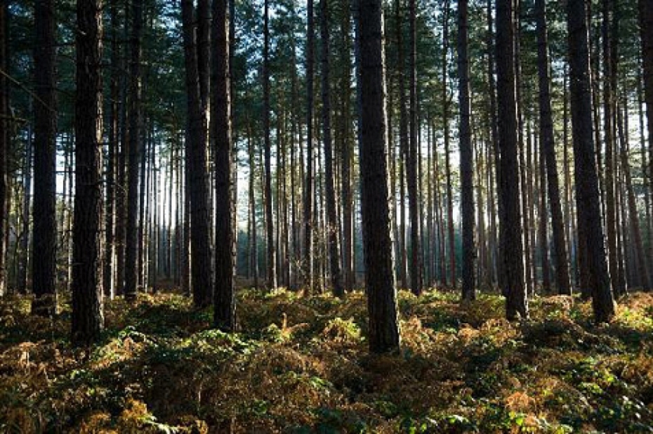 LMT sakari pazuda bāzes stacijas akumulatora dēļ