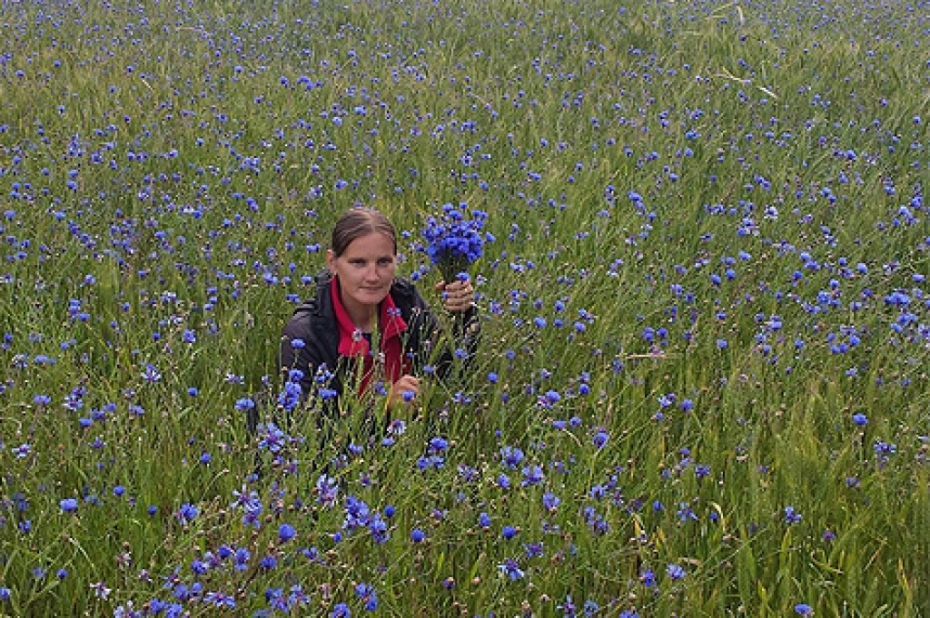 Sestdien, 25.jūnijā, vārdadienā sveicam Milijas un Maigas