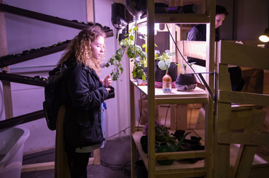 Atbalsta jauno mediju mākslas un rakstniecības projektus