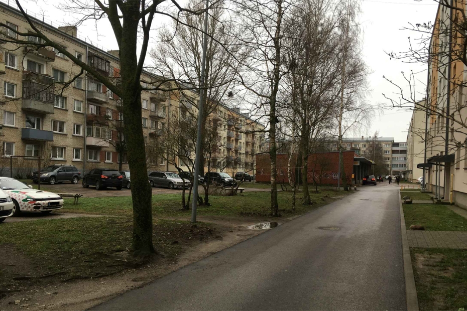 Aicina apspriest koku ciršanu Klaipēdas ielā 88, 90 un 92