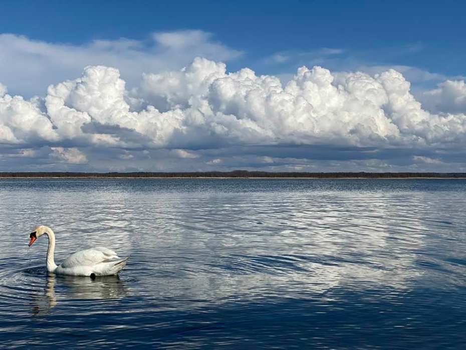 Vasarīgs siltums nav gaidāms vēl vismaz trīs nedēļas