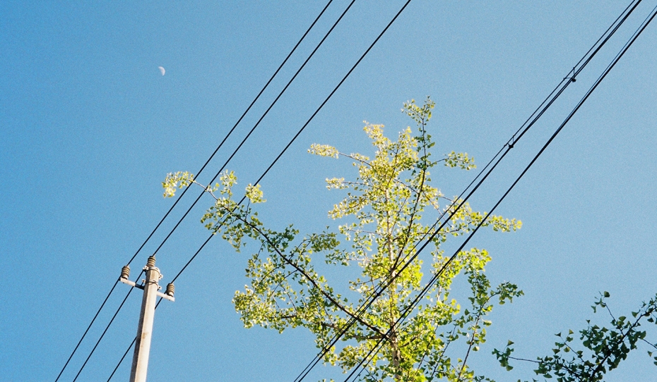 "Sadales tīkls": elektroapgādes traucējumi Liepājā novērsti