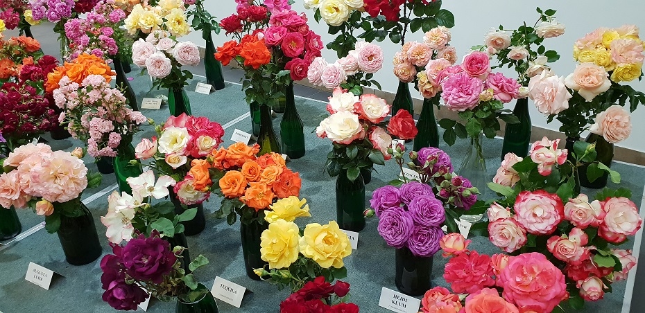 Latviešu biedrības namā pirmo reizi šovasar ziedu izstāde