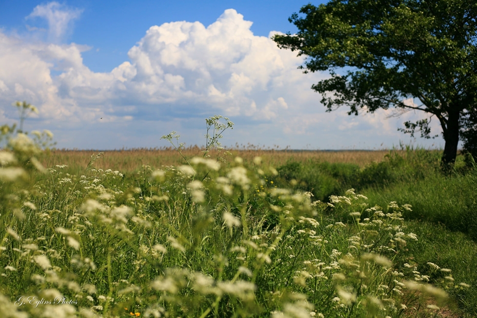  Gaidāmais karstums pārspēs rekordus un, visticamāk, turpināsies līdz Jāņiem