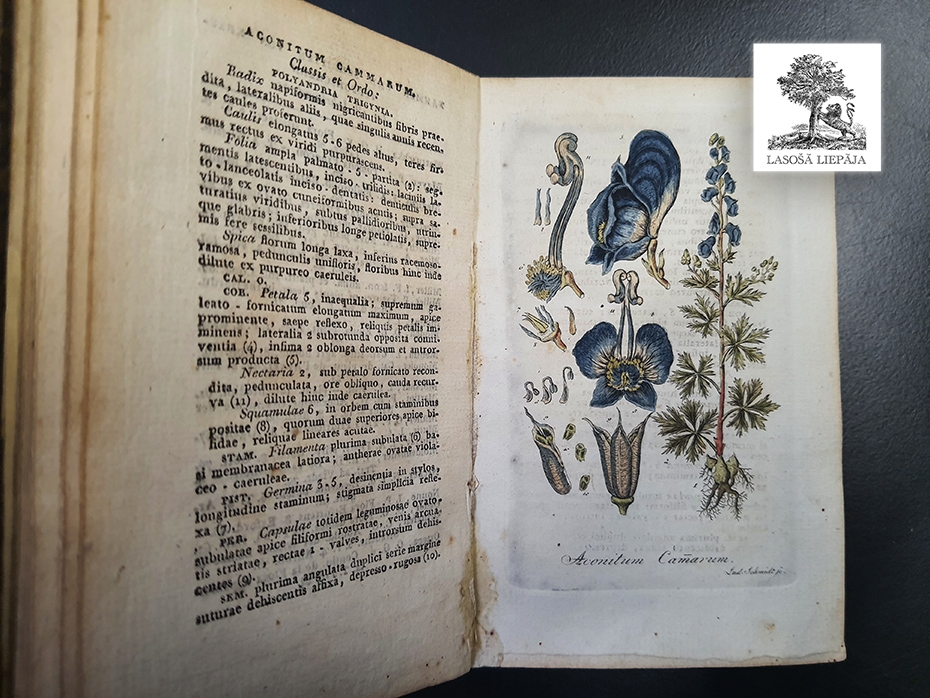 Lasošā Liepāja: Bibliotēkas nesenā vēsture ar Tamāru Podiņu