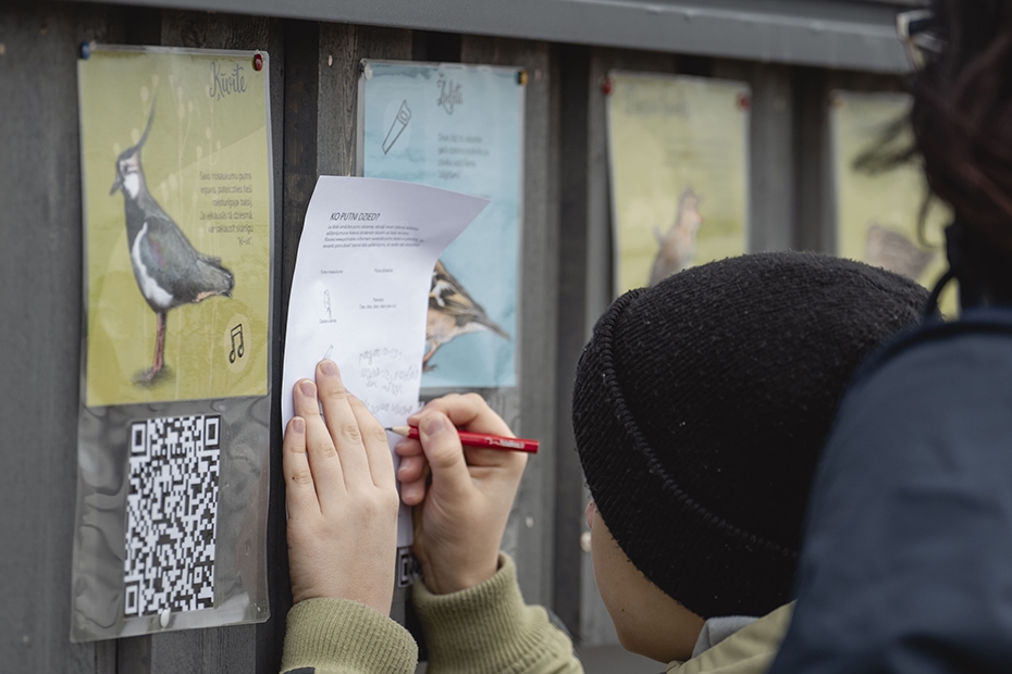 Dabas mājā notiks aktivitātes "Putnu dienas" ietvaros