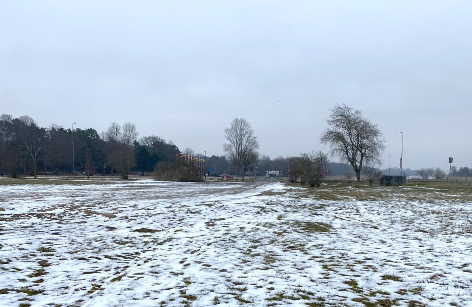 Aicinājums apspriest plānoto koku ciršanu Debess ielā