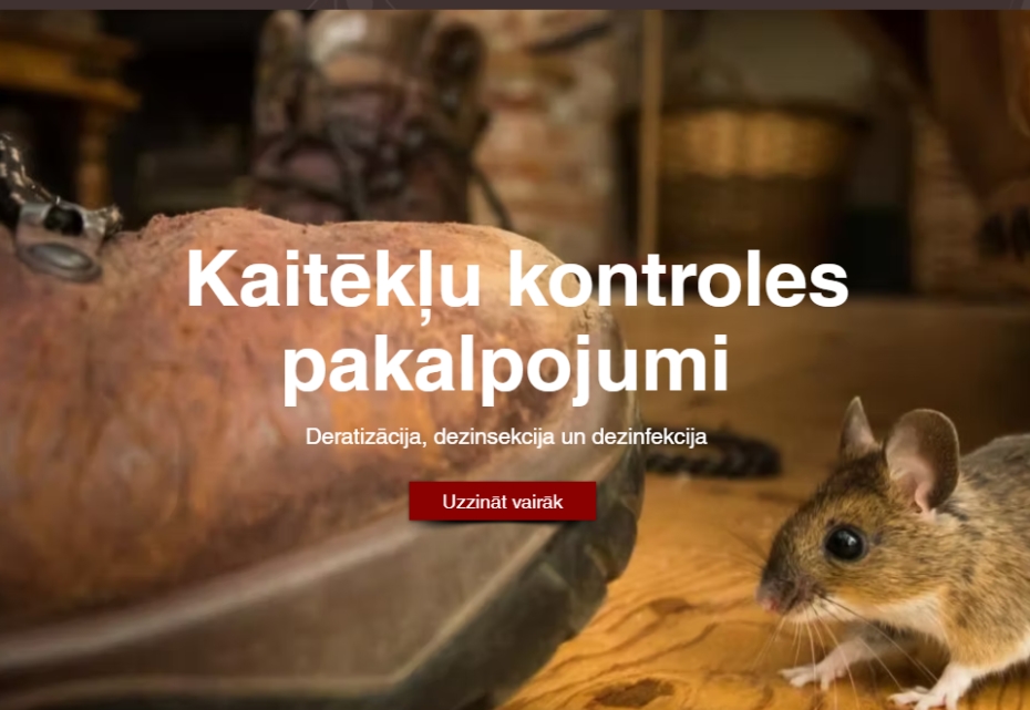 Grauzēji mājoklī: Kas jāzina par deratizāciju?