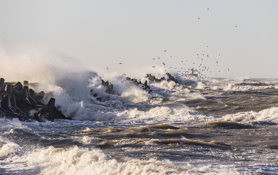Liepājā notiks starpdisciplinārs forums "Dabas (ne)miers"