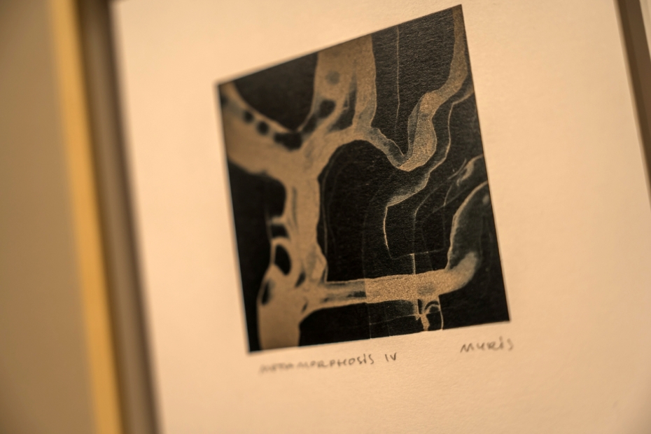 Liepājas muzejā norisināsies mākslinieka Jāņa Murovska sietspiedes meistarklase