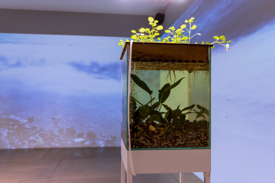 Liepājā atklās mediju mākslas un tehnoloģiju izstādi “Blue Shift”