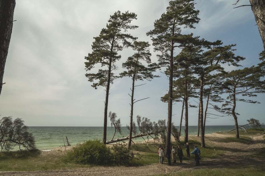 Liepājas Pētertirgū darbosies “Karostas dabas pakalpojumu kiosks”