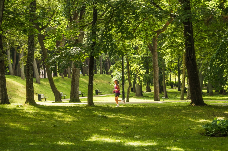 Aicina liepājniekus piedalīties zaļo teritoriju attīstības plānošanā