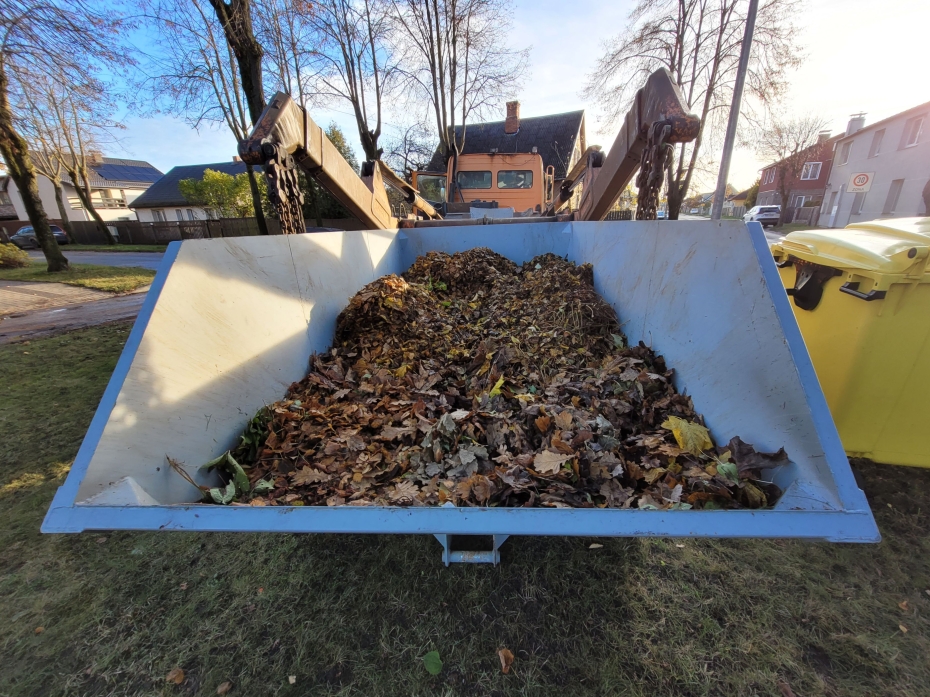 Notiks rudens lapu savākšanas akcija