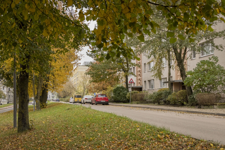 Aicina iedzīvotājus uz tikšanos par Ziemeļu priekšpilsētas apzaļumošanas projektu