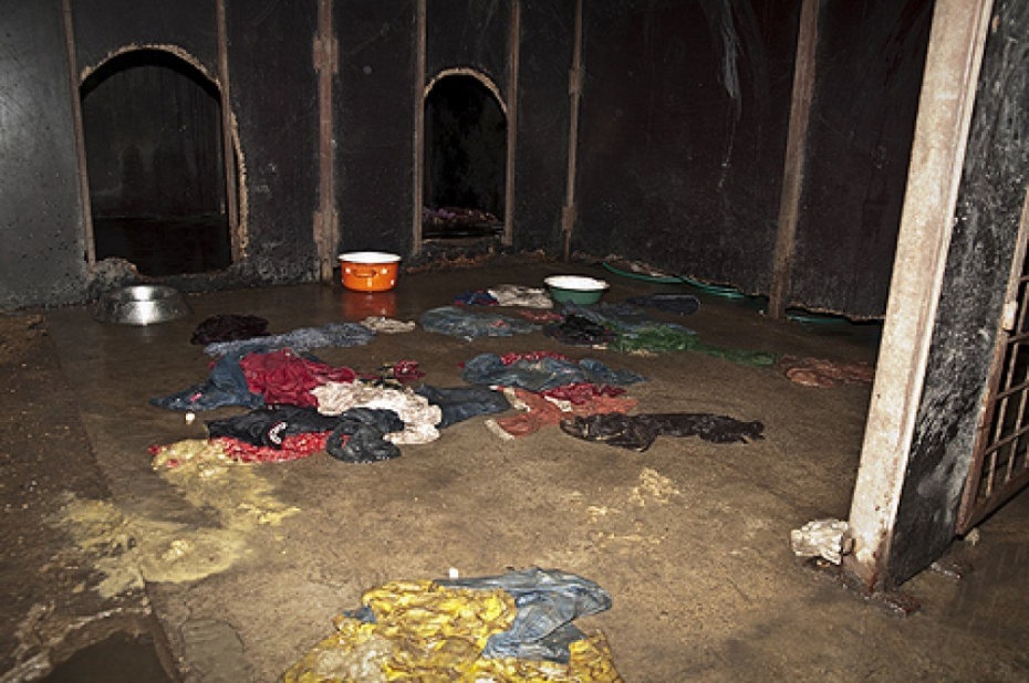 Dzīvnieku patversmē pārkāpumu vairāk nekā sunim blusu