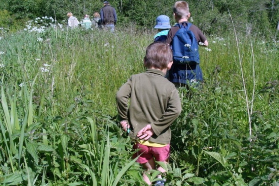 Desmit kilometri pa Embūtes senlejas džungļiem (galerija)