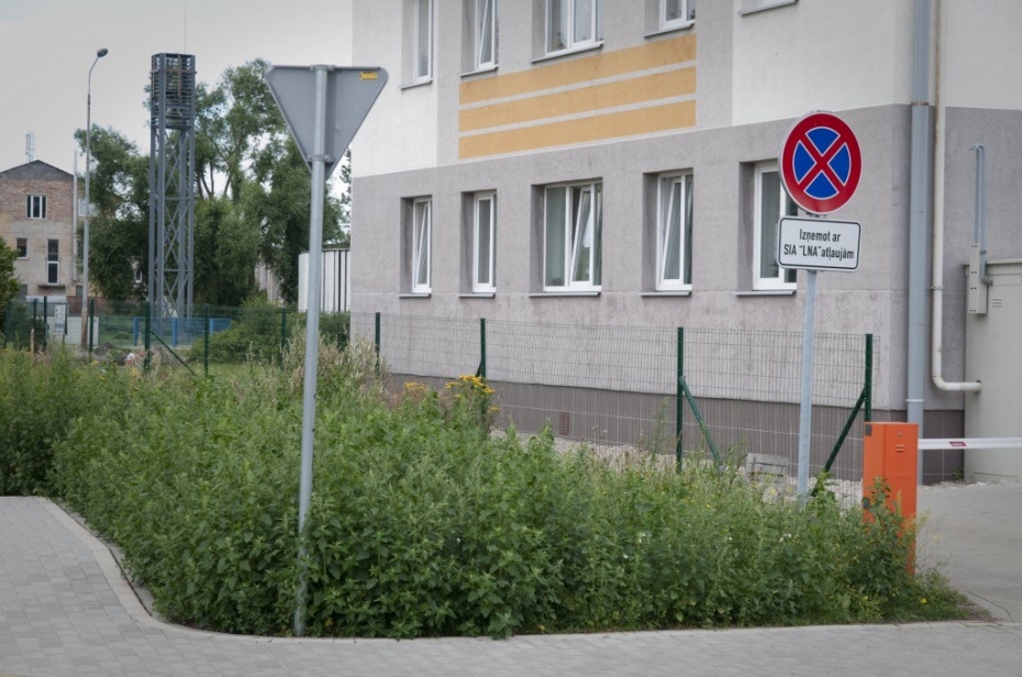 Vai balandas veco ļaužu ēdienkartei?