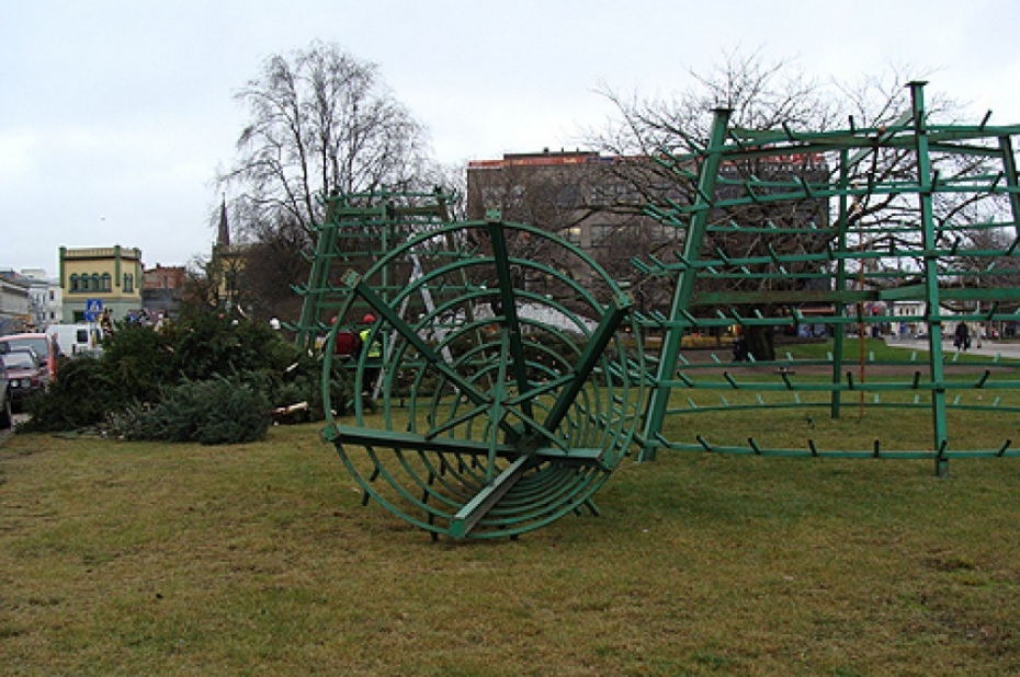 Sāk uzstādīt pilsētas lielo egli