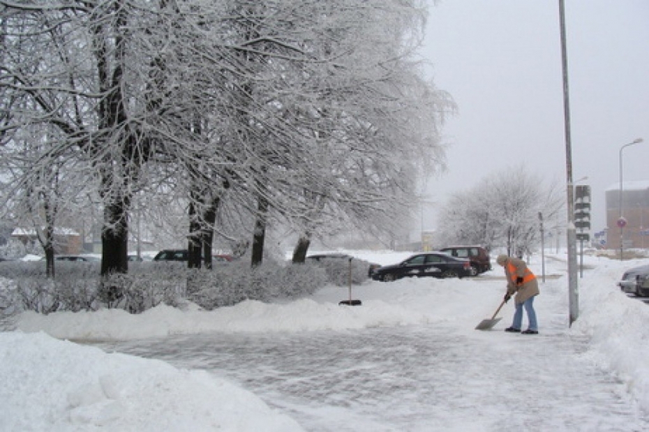 Sniegu no privātajām teritorijām varēs izvest uz Zirgu salu