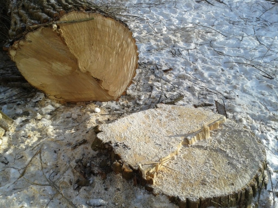 Apstādījumu uzraudzības komisijas lēmumi februārī un martā