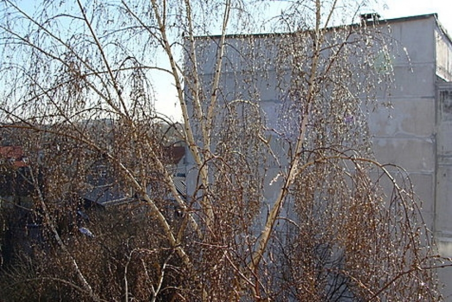 Apstādījumu uzraudzības komisijā 29.aprīlī lemtais