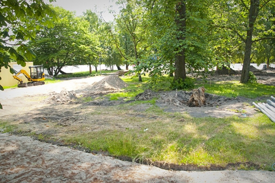 Izsaka atbalstu divu potenciāli bīstamu koku nozāģēšanai