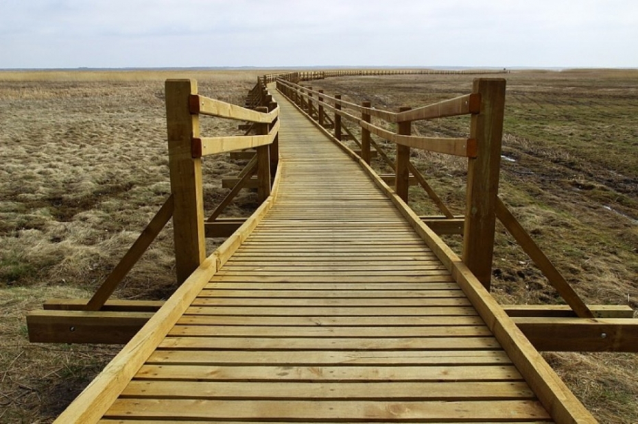 Augusta sākumā oficiāli atklās laipu un putnu torņus