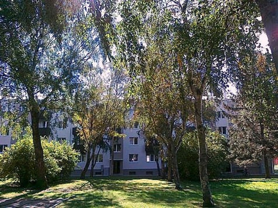 Čakstes laukuma kokus rekonstrukcija neskars