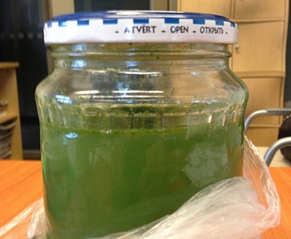 Dome ūdens analīzes veic oficiālajās peldvietās