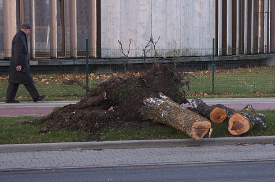 Vētras sekas Liepājā kopumā novērstas