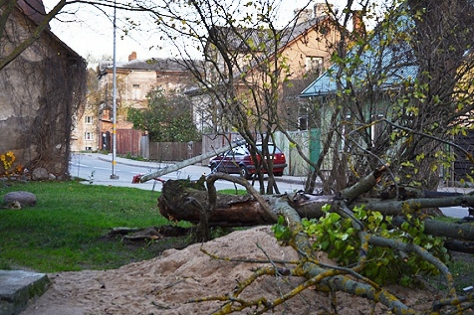 Svētdienas vētras sekas Liepājā kopumā novērstas