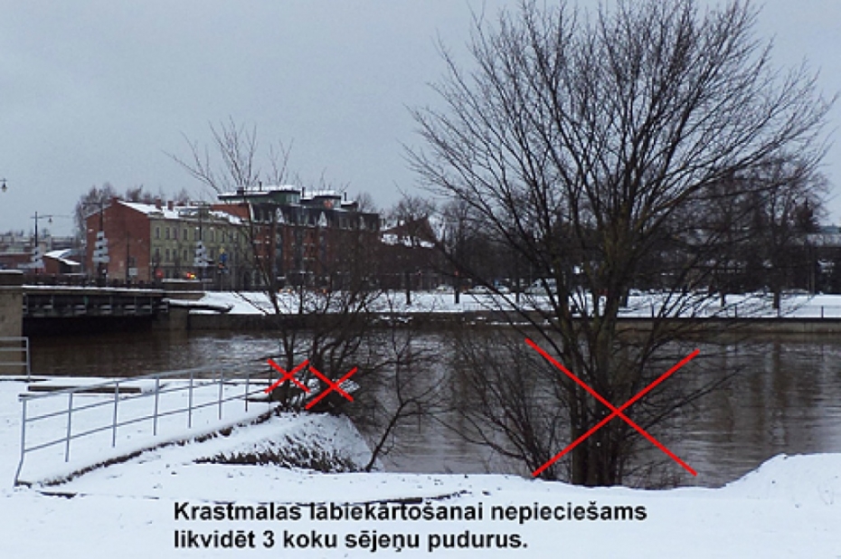 Grib zināt iedzīvotāju viedokli par koku izciršanu