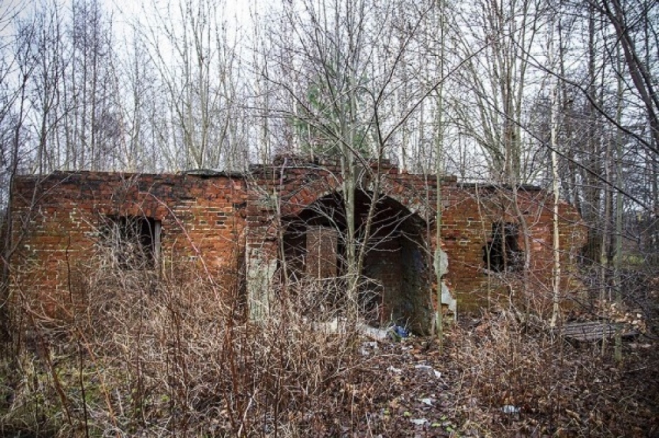 Karostā grib likvidēt vairāk koku, nekā sākotnēji plānots